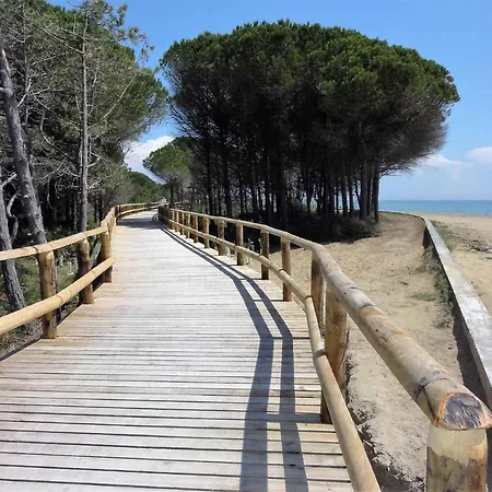 In 38373 * Bibione